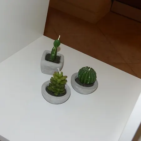 Residenza Galvani Appartamento