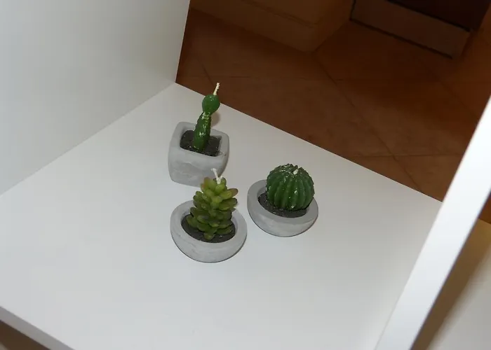 Residenza Galvani Appartement